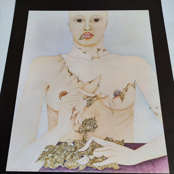 Image 1 of Katinka Niederstrasser / Galerie Levy / Affiche