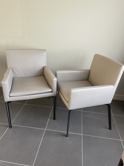 Sedie da pranzo Minotti (6x) Manet – eetkamerstoelen, Leather, Metal (photo 2 of 6)