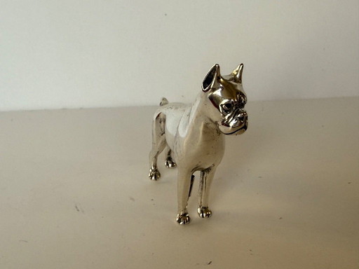 Chien boxer Saturno en argent massif