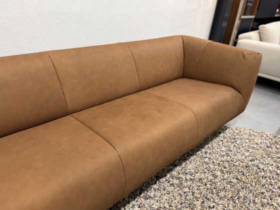 Image 1 of Label Van den Berg Moby Dick 3-Sitzer-Sofa Wasserbüffel Cognac