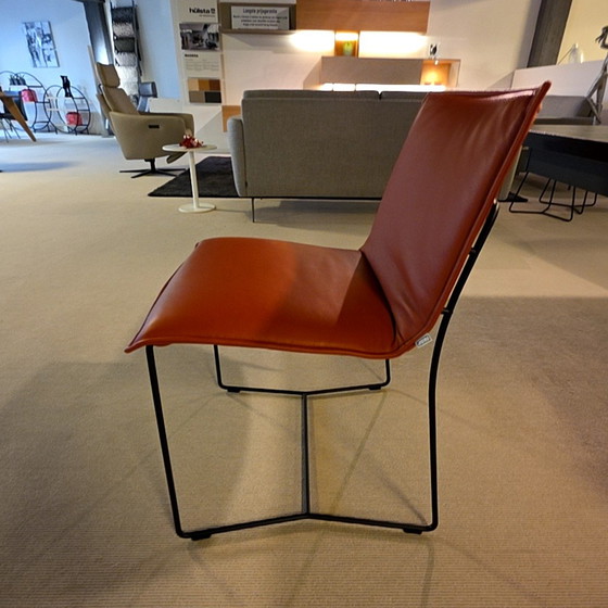 Image 1 of Jori Piuro