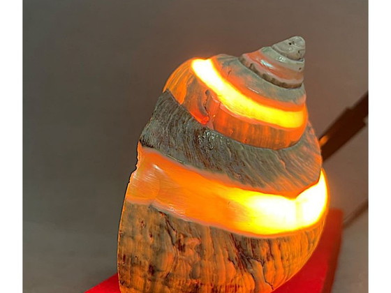 Image 1 of Juego de escritorio con luz de concha náutica y bolígrafo, años 40