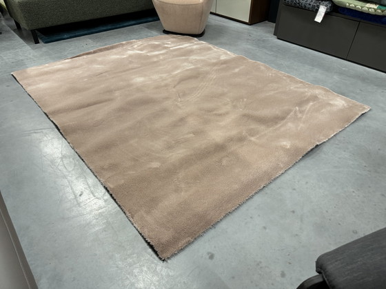 Image 1 of Alfombra Brink En Campman Madura 200X245