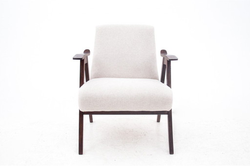 Sessel, Polen, 1960er Jahre