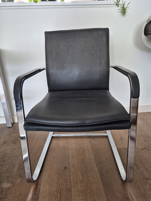 4 leather chairs sitag