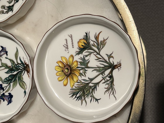 Image 1 of Juego (6) cuencos Villeroy & Boch Vilbofour Botanica