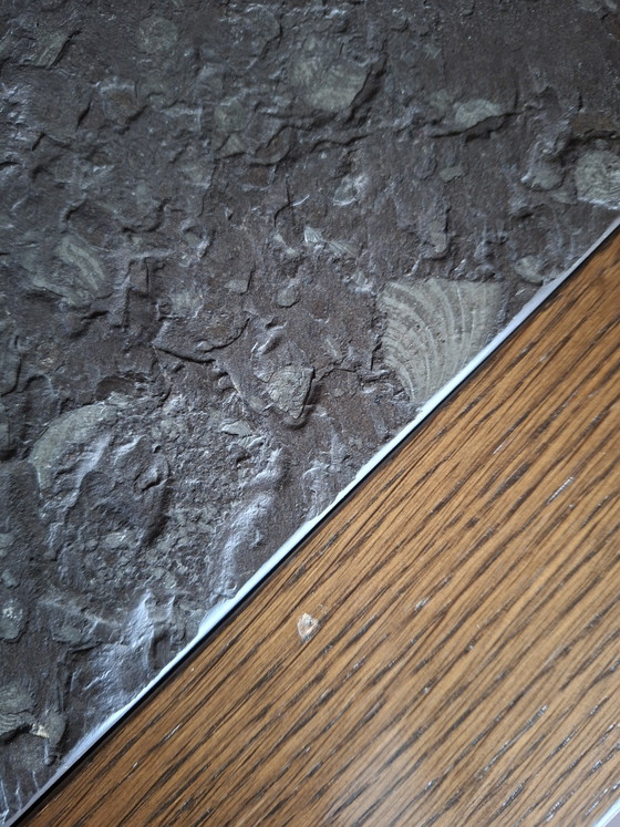 1970s Brutalist Coffee Table With 2 Real Ammonite Fossils – Solid Oak – Stone, Wood (photo 5 of 5)