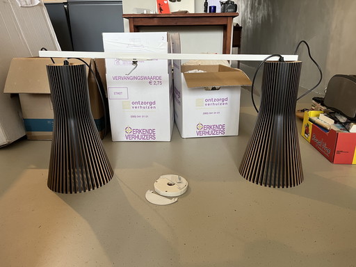 2 Secto Design 4201 Lampen Met Lignswing