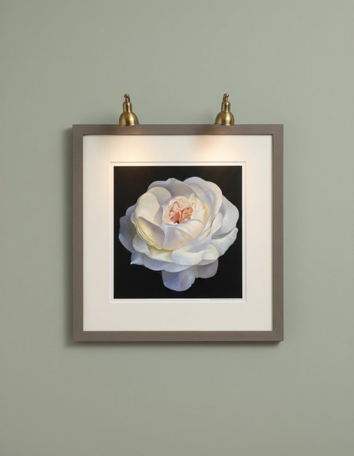 Magia de la Rosa - Campana, Franco - Rosa Blanca - Lámina artística