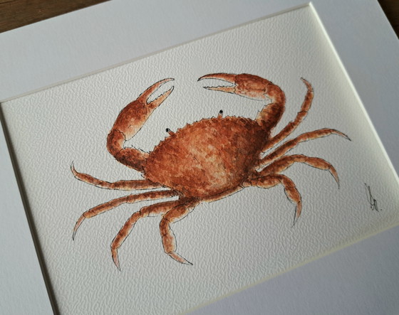 Image 1 of Set of three original nautical watercolors: crab, sardines, seahorse
