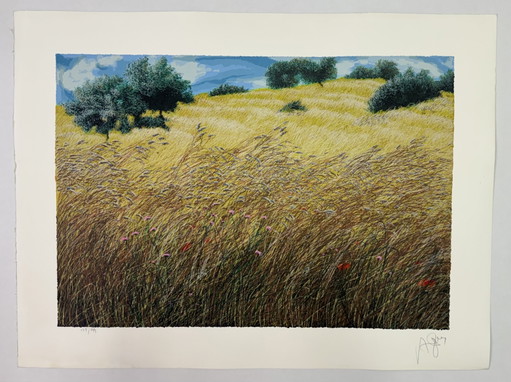 Quadro Serigrafia Franco Azzinari, all’ombra degli ulivi 60x80cm, arte moderna
