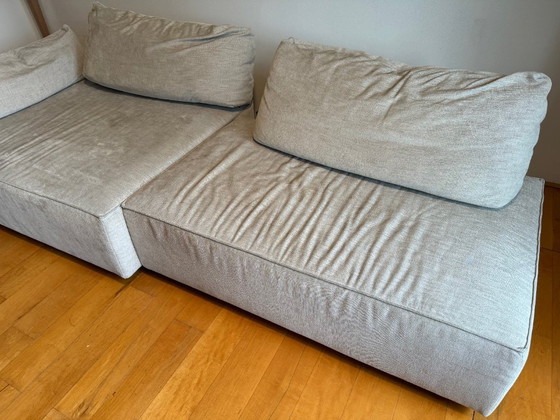 Image 1 of Mountain Lord 18