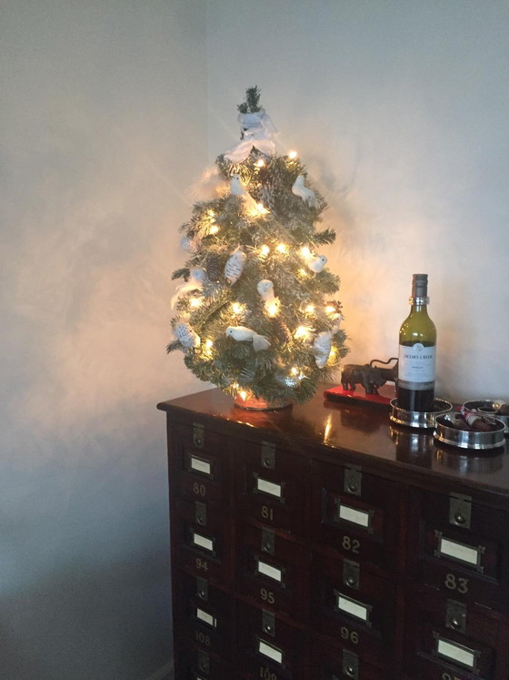 Image 1 of Antieke Kleppenkast / apothekerskast / Notariskast