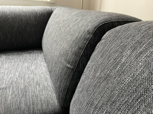 Leolux-Sofa - Faya Lobi