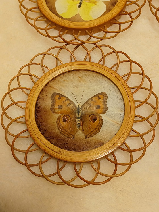 Image 1 of Sottobicchieri vintage in bambù con farfalle