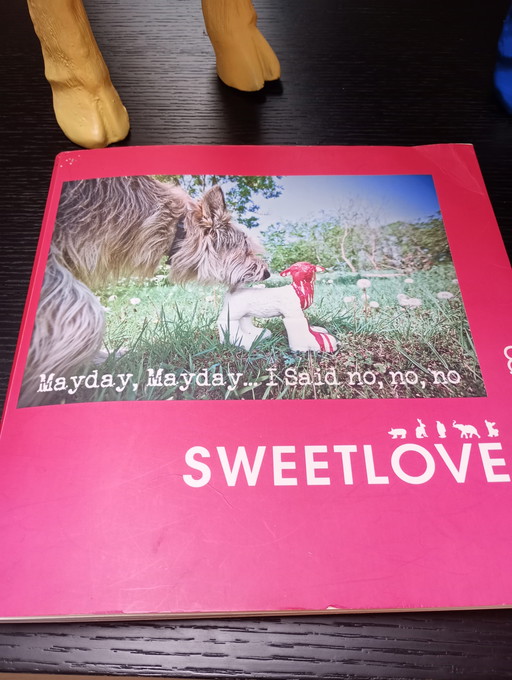 Cloned Red goat sweetlove William 