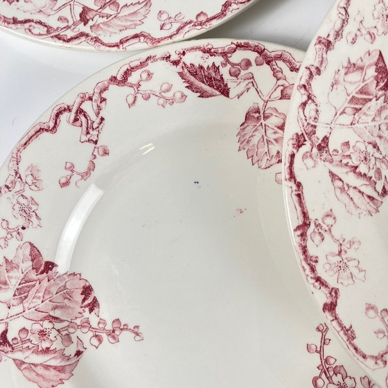Image 1 of Set di Piatti Piani Lunéville Terre de Fer da 6 KG, "Fontainebleau", Rosa, XIX Secolo