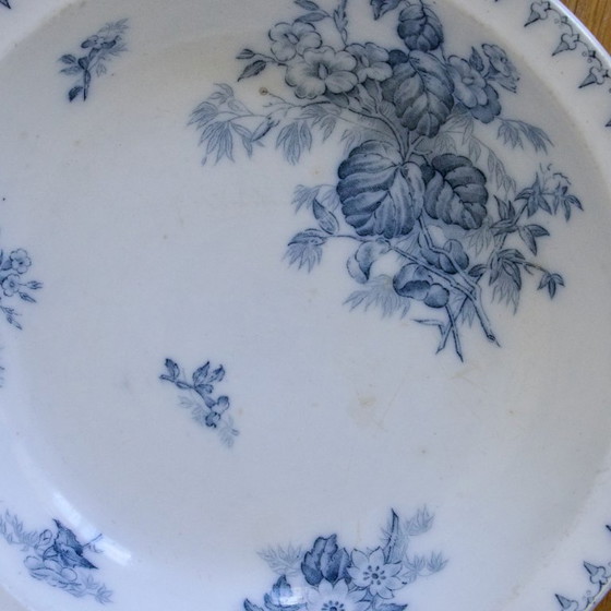 Image 1 of 19th century ironstone shallow dish signed Sarreguemines, Flore collection