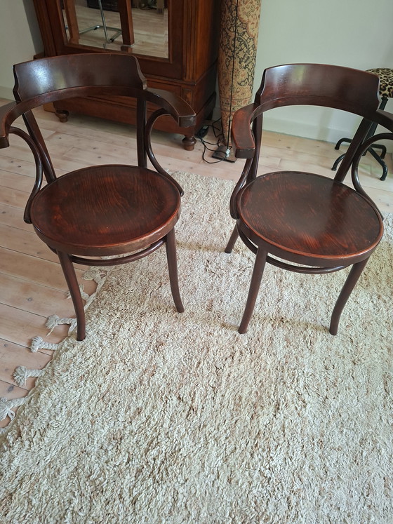 Image 1 of 2 preciosas sillas de comedor Thonet.