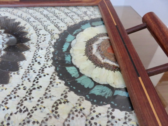 Image 1 of Schmetterlingsflügel-Tablett, Brasilien, 40er Jahre