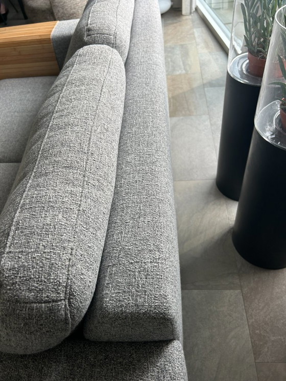 Image 1 of Divani prominenti T-505 da 2,5 posti