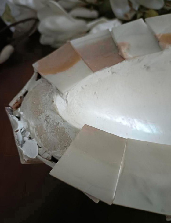 Image 1 of 1 jarrón de concha ovalada y 2 jarrones de concha de nácar con cuencos rotos