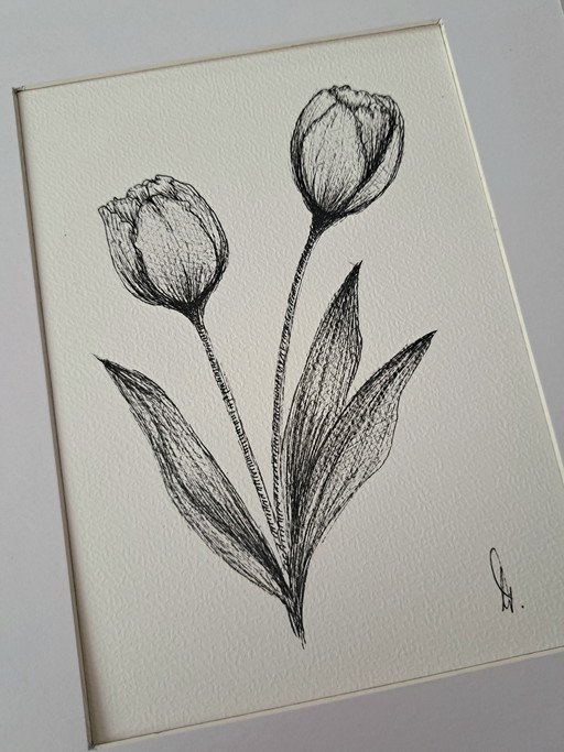 Original tulip illustration in frame