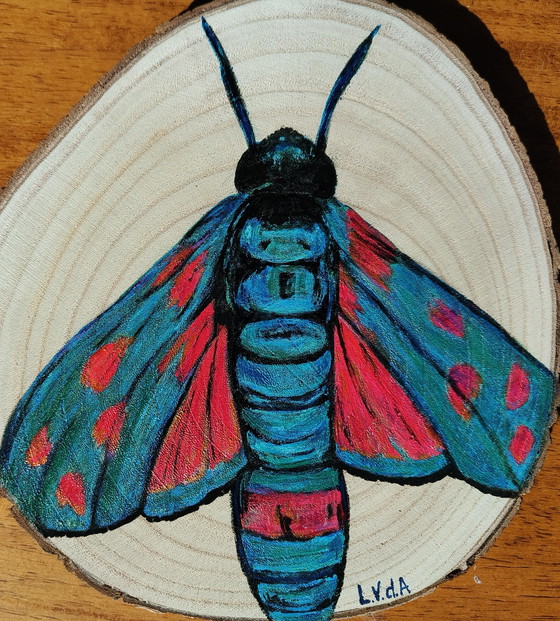 Image 1 of Disco de madera de tronco de árbol con mariposa de colores pintada