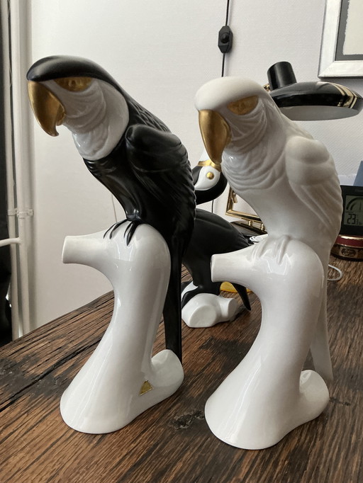 2 Byordinary Parrots from Royal Ducs