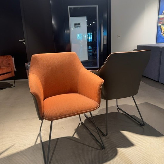 Image 1 of Leolux Mara Outline dining chair (set of 4)