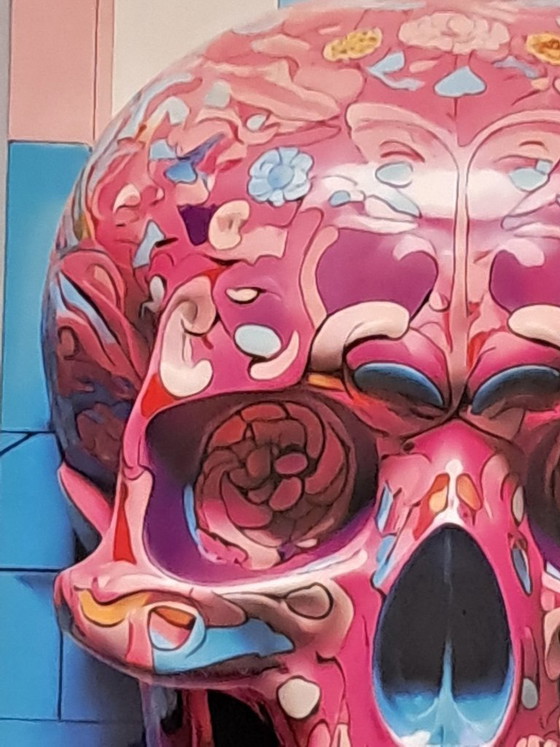 Image 1 of DEAD HEAD - Il teschio rosa in stile Bauhaus - Stampa su alluminio