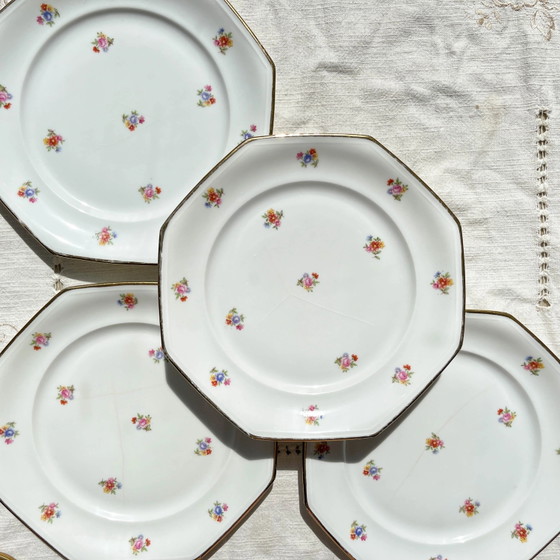 6 platos llanos de porcelana francesa floral LAMOTTE – Loza, Porcelain (photo 19 of 20)