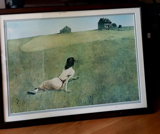 Andrew Wyeth „Christinas Welt“ 1948 – lithos zeefdrukken, Wood, Glass
