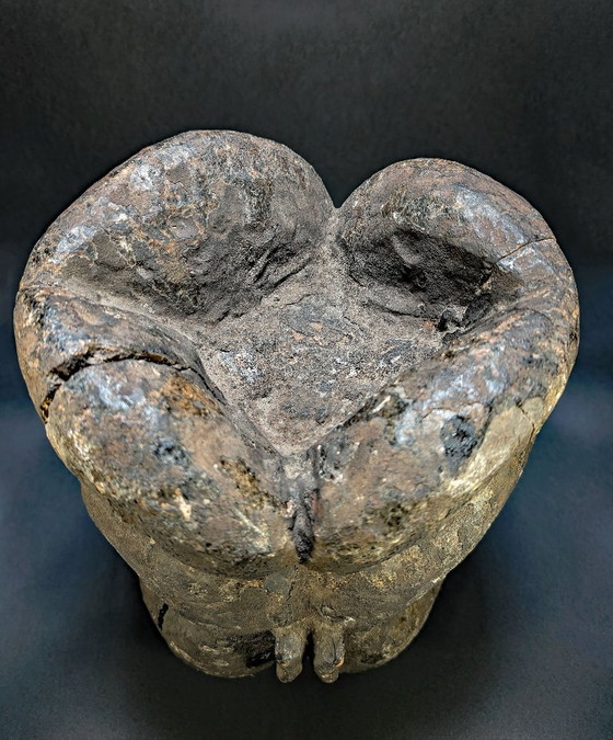Stemma Janus Bangwa/Bamileke (Troh Night Society) Camerun - 1950 circa – Sculture, Wood (photo 8 of 20)