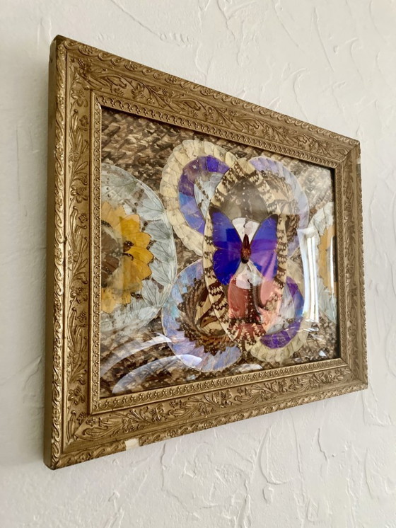 Image 1 of Composizione astratta incorniciata a forma di ali di farfalla
