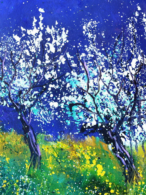 Image 1 of Bloeiende appelbomen