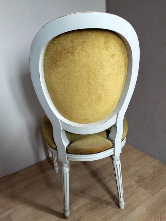 Juego de 6 sillas estilo Luis XVI, Sillas de comedor, Terciopelo, Madera, Verde (foto 6 de 8)