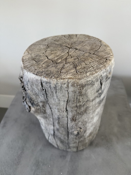 Pedestal Tree Trunk Concrete Serax