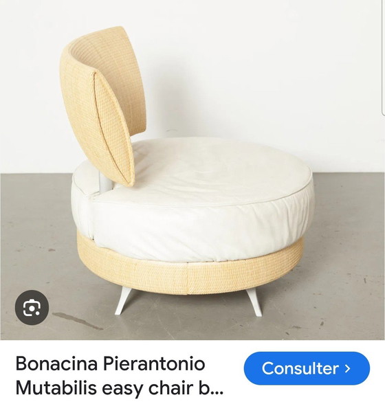 Image 1 of BONACINA , MUTABILIS by GIUSEPPE VIGANO ,Sofa, Armchair, Coffee table