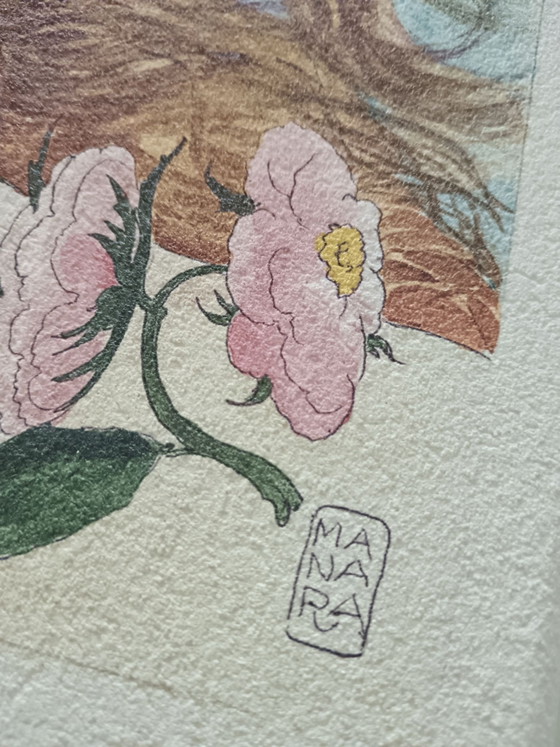 Milo Manara auteursdoos, Schilderijen & Tekeningen, Papier, Meerdere kleuren (foto 2 van 6)