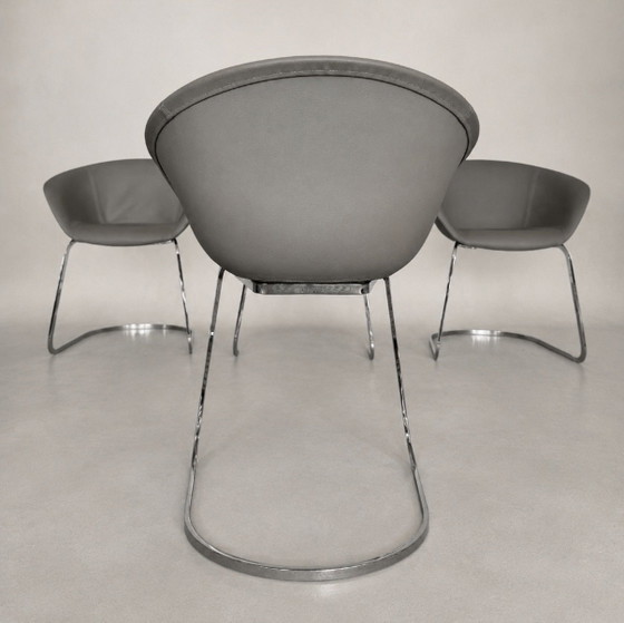4 Sillas Arper Duna, de Lievore Altherr Molina, Italia (2014) – Sillas de comedor, Chrome, Leather (photo 11 of 13)