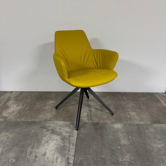 Image 1 of 4x bert plantagie Maple stoelen