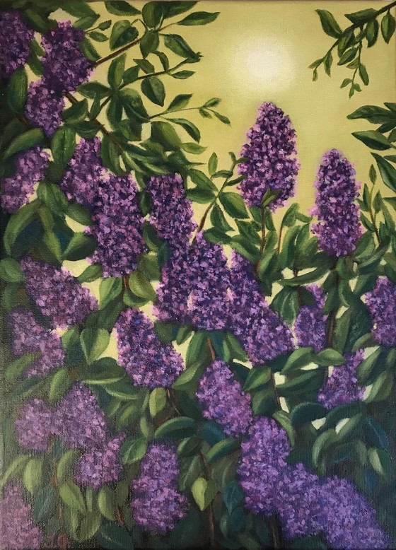 Image 1 of Lilla - dipinto a olio di Irina Gauss