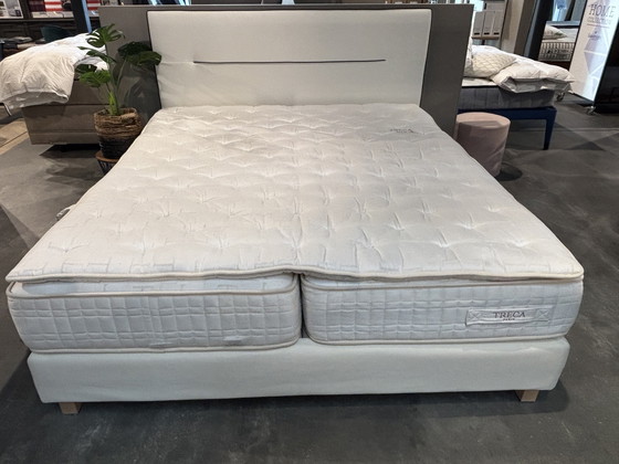 Image 1 of Treca Paris Apollon 180x210