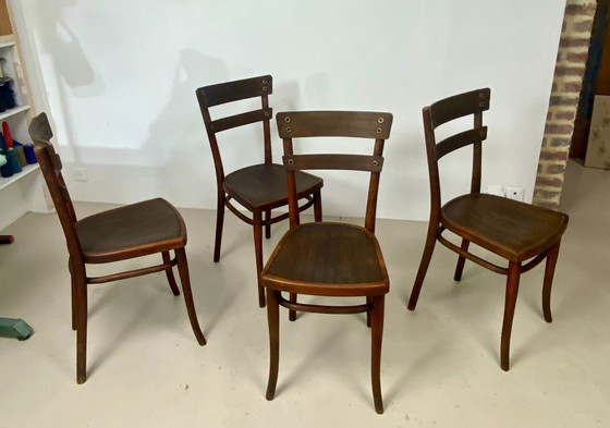 Image 1 of Juego de 4 sillas Thonet de madera de haya – Modelo n.º 651