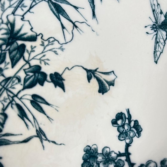 Image 1 of Frutero "Carmen", Sarreguemines, circa 1879 a 1918