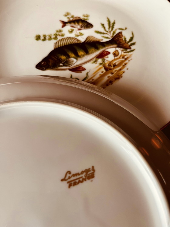 Image 1 of Ensemble de 6 assiettes à poissons d'eau douce de Limoges