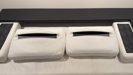Rolf Benz Dono Sammlung – Sofas, Leather, Metal (photo 5 of 9)