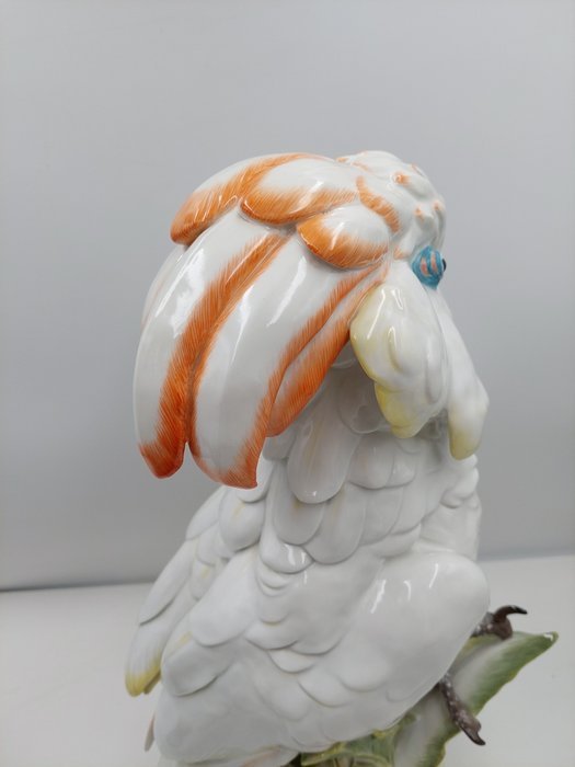 Image 1 of Meissen - Paul Walther - Statue, Cockatoo - 47 cm - Porcelain