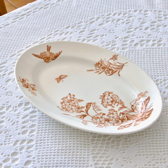 Image 1 of Grand Plat Ovale XIXe signé Longwy Terre De Fer Sépia "Botanique"